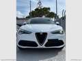 Alfa Romeo Stelvio 2.2 T.diesel 190CV AT8 RWD Exec. Bianco - thumbnail 1