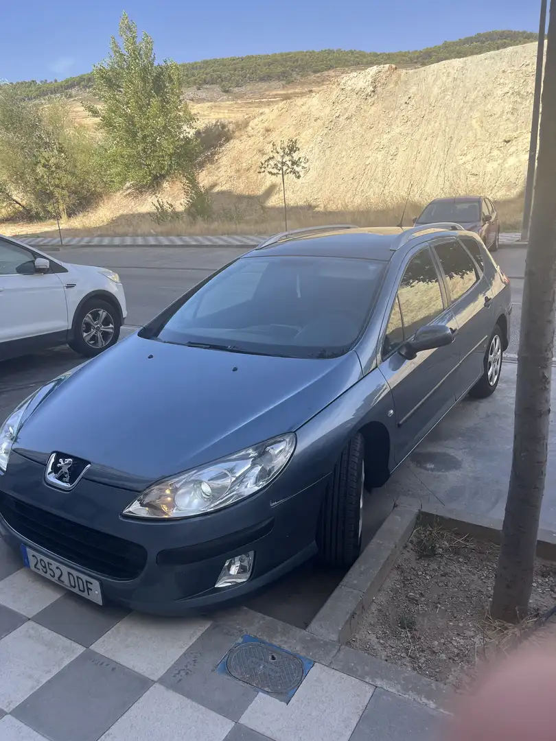 Peugeot 407 2.0 ST Confort - 2