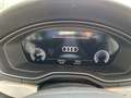 Audi A4 Avant 40 TDI quattro S tronic S line edition Grigio - thumbnail 15