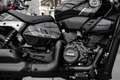Benelli Leoncino Bobber 400 ABS, sofort lieferbar Noir - thumbnail 20