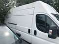 Peugeot Boxer L4H3 BHDI 140 Motorschaden Blanc - thumbnail 3