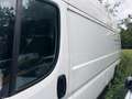 Peugeot Boxer L4H3 BHDI 140 Motorschaden Blanc - thumbnail 6