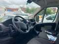 Peugeot Boxer L4H3 BHDI 140 Motorschaden Blanc - thumbnail 7