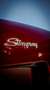 Corvette Stingray - thumbnail 12