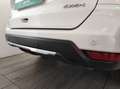 Nissan X-Trail 3ª serie - X-Trail dCi 150 4WD X-Tronic Business Bianco - thumbnail 7