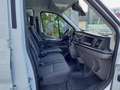 Ford Transit Transit Fahrgestell DoKa 2,0 EcoBlue L2H1 350 T... Weiß - thumbnail 9