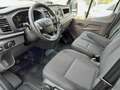 Ford Transit Transit Fahrgestell DoKa 2,0 EcoBlue L2H1 350 T... Weiß - thumbnail 11