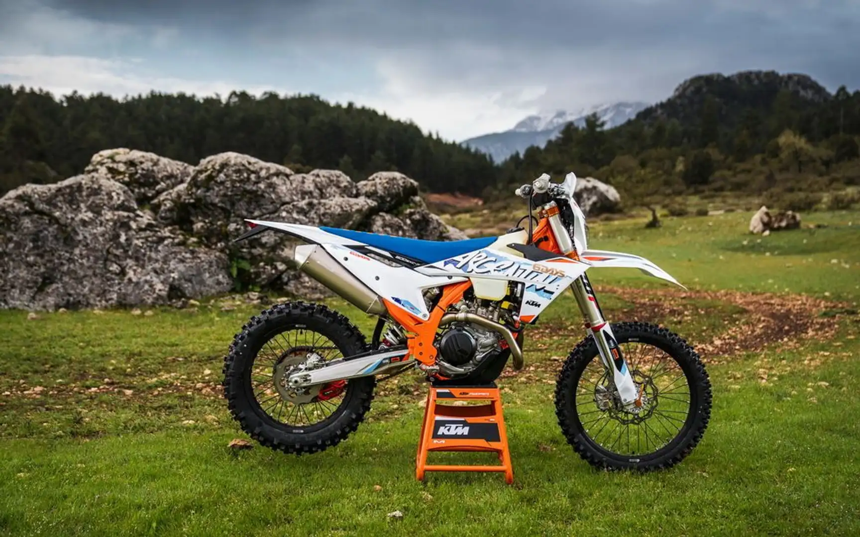 KTM 250 EXC F SIX DAYS - 2