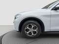 Alfa Romeo Stelvio 2.2 190cv Business Q4 2022 Grigio - thumbnail 6