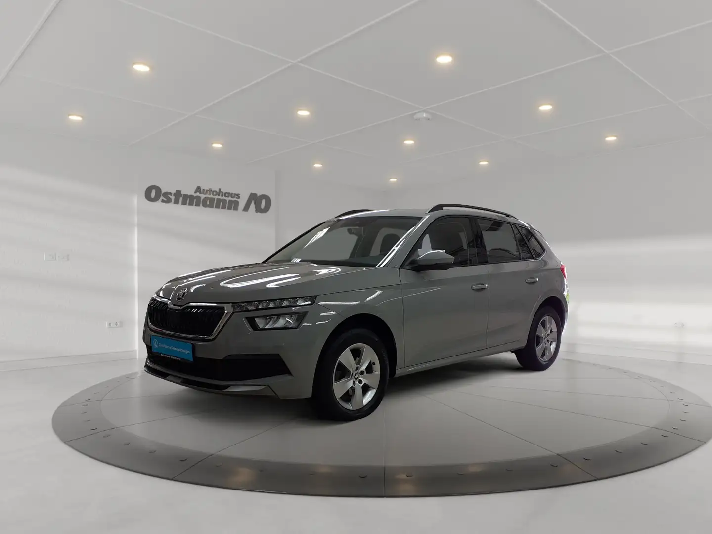 Skoda Kamiq 1.0TSI Ambition *Sitzh*LED*Smart-Link* Gris - 1