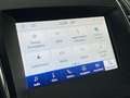 Ford Edge 2.0 EcoBlue 150 CV aut. Titanium Blanc - thumbnail 13