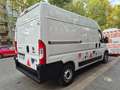 Fiat Ducato 2.3 M-jet 120cv 33Q,li, TETTO ALTO, IVA ESCLUSA!!! Blanc - thumbnail 4