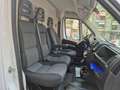 Fiat Ducato 2.3 M-jet 120cv 33Q,li, TETTO ALTO, IVA ESCLUSA!!! Blanc - thumbnail 20
