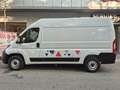 Fiat Ducato 2.3 M-jet 120cv 33Q,li, TETTO ALTO, IVA ESCLUSA!!! Blanc - thumbnail 7