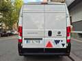 Fiat Ducato 2.3 M-jet 120cv 33Q,li, TETTO ALTO, IVA ESCLUSA!!! Blanc - thumbnail 5