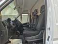 Fiat Ducato 2.3 M-jet 120cv 33Q,li, TETTO ALTO, IVA ESCLUSA!!! Blanc - thumbnail 18