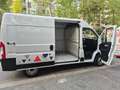 Fiat Ducato 2.3 M-jet 120cv 33Q,li, TETTO ALTO, IVA ESCLUSA!!! Blanc - thumbnail 22