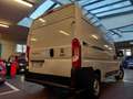 Fiat Ducato 2.3 M-jet 120cv 33Q,li, TETTO ALTO, IVA ESCLUSA!!! Bianco - thumbnail 7