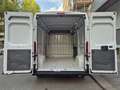 Fiat Ducato 2.3 M-jet 120cv 33Q,li, TETTO ALTO, IVA ESCLUSA!!! Blanc - thumbnail 10