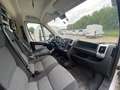 Fiat Ducato 35 Maxi L3 150 Ladebordwand, neuer Motor Blanc - thumbnail 12