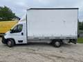 Fiat Ducato 35 Maxi L3 150 Ladebordwand, neuer Motor Blanc - thumbnail 3