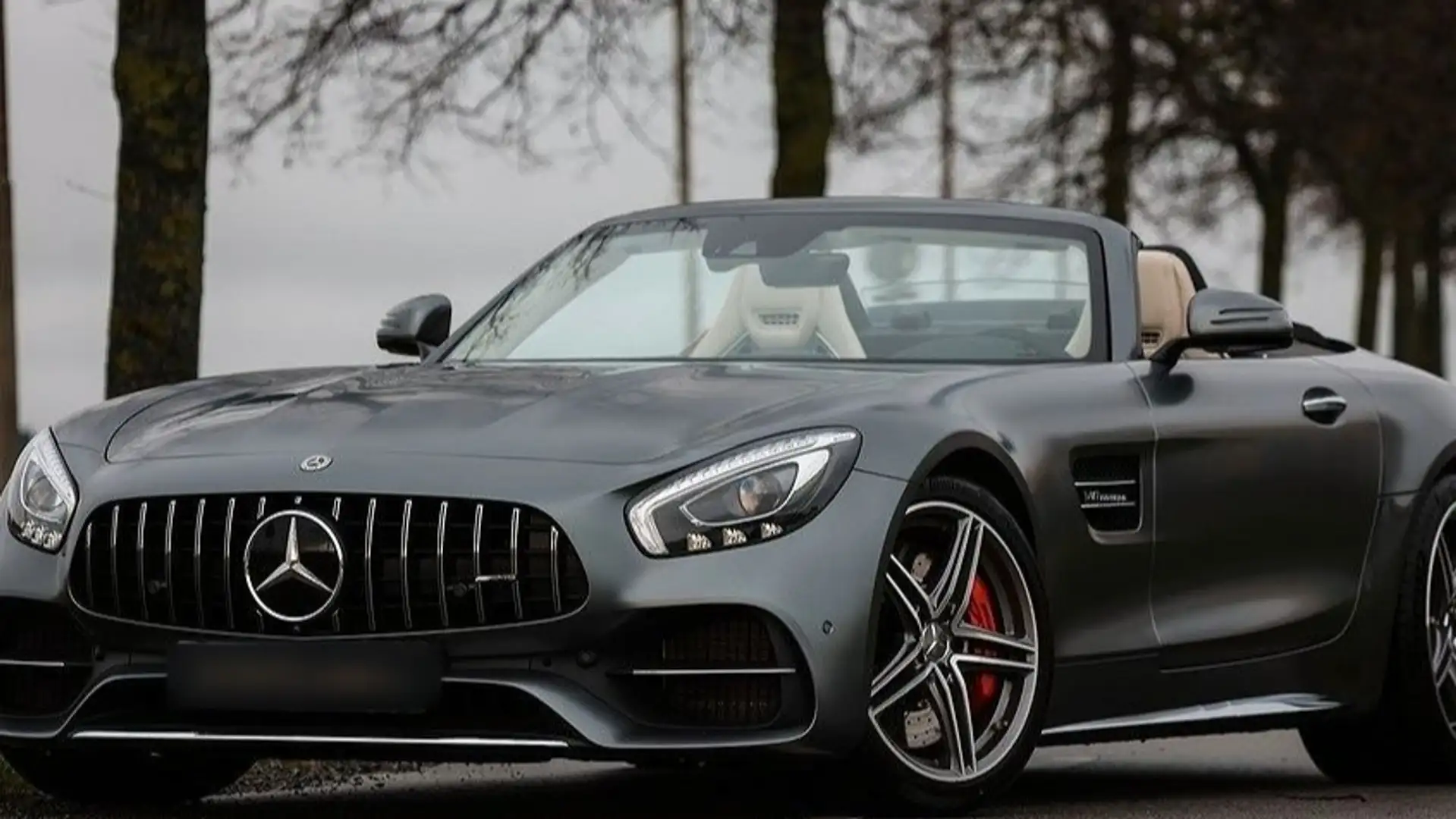 Mercedes-Benz AMG GT Roadster C 557 Gris - 1