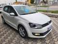 Volkswagen Polo 1.6 TDI 90 CV 5 PORTE * HIGHLINE * FULL OPTIONALS Blanco - thumbnail 6