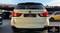 BMW X5 SERVICE  BMW UNICO PROPRIETARIO TETTO APRIBILE PE Weiß - thumbnail 4