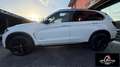 BMW X5 SERVICE  BMW UNICO PROPRIETARIO TETTO APRIBILE PE Weiß - thumbnail 3