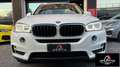 BMW X5 SERVICE  BMW UNICO PROPRIETARIO TETTO APRIBILE PE Weiß - thumbnail 2