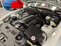 BMW Z4 Roadster 3.0i 231cv "CAMBIO MANUALE" Argento - thumbnail 33