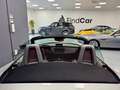BMW Z4 Roadster 3.0i 231cv "CAMBIO MANUALE" Argento - thumbnail 12