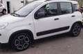 Fiat Panda 1.0 FireFly S&S Hybrid City Life Bianco - thumbnail 2