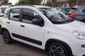 Fiat Panda 1.0 FireFly S&S Hybrid City Life Bianco - thumbnail 3