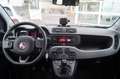 Fiat Panda 1.0 FireFly S&S Hybrid City Life Bianco - thumbnail 13