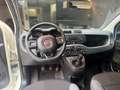 Fiat Panda Panda III 2018 1.2 Easy easypower Gpl 69cv Blanc - thumbnail 22