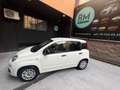 Fiat Panda Panda III 2018 1.2 Easy easypower Gpl 69cv Blanc - thumbnail 4