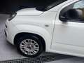 Fiat Panda Panda III 2018 1.2 Easy easypower Gpl 69cv Blanc - thumbnail 25