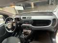Fiat Panda Panda III 2018 1.2 Easy easypower Gpl 69cv Blanc - thumbnail 11
