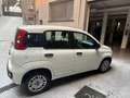 Fiat Panda Panda III 2018 1.2 Easy easypower Gpl 69cv Blanc - thumbnail 8