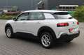 Citroen C4 Cactus 1.2 PureTech Business Uitv. NAVIGATIE Wit - thumbnail 19
