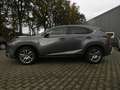 Lexus NX 300h AWD Edition 30 Grijs - thumbnail 9