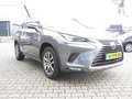 Lexus NX 300h AWD Edition 30 Grijs - thumbnail 3