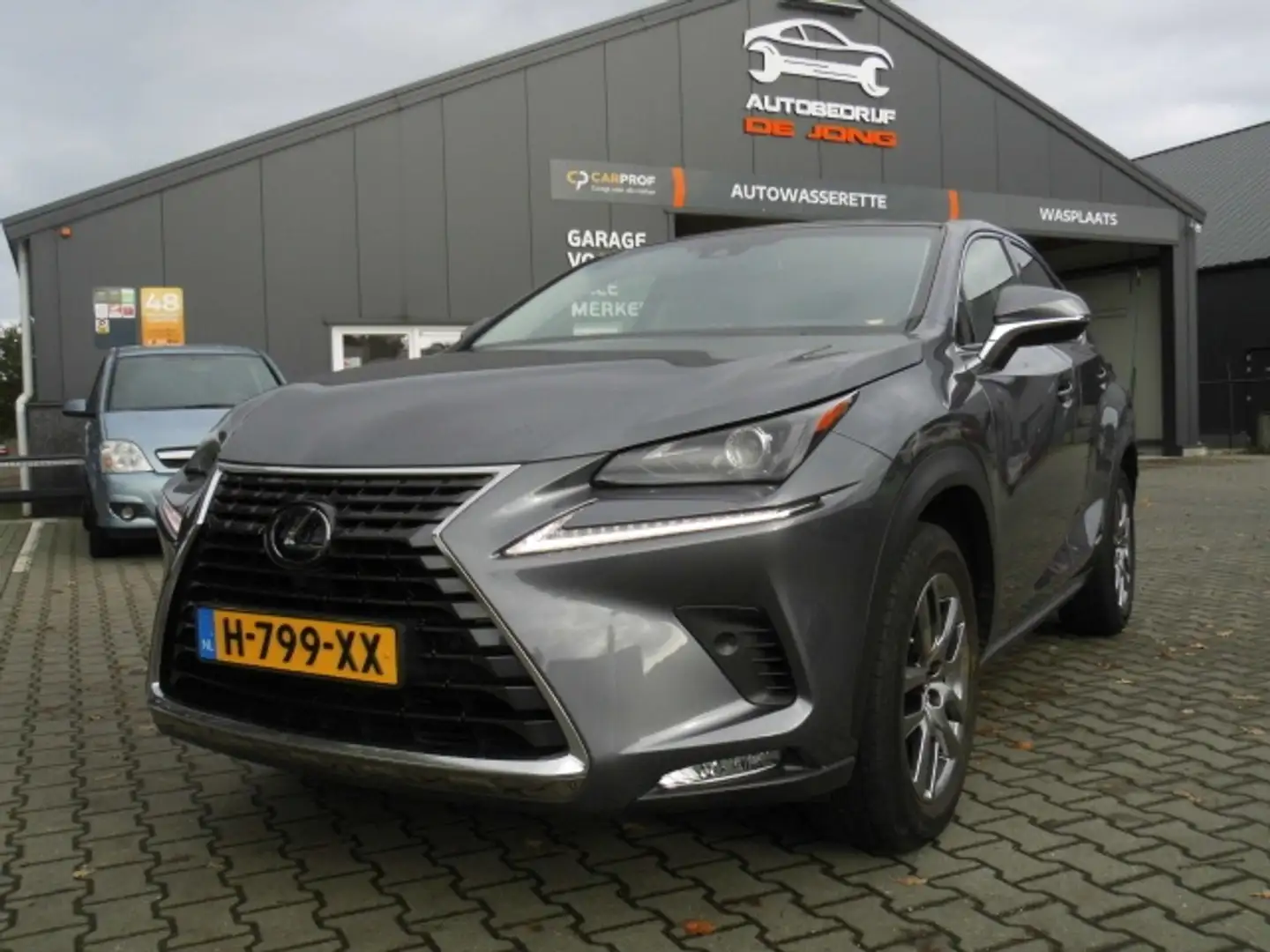 Lexus NX 300h AWD Edition 30 Grijs - 1