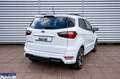Ford EcoSport EcoSport 1.0 ecoboost ST-Line s&s 125cv my20.25 - thumbnail 6