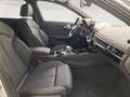 Audi A4 allroad allroad 40 2.0 tdi mhev identity contrast quattro Argento - thumbnail 12