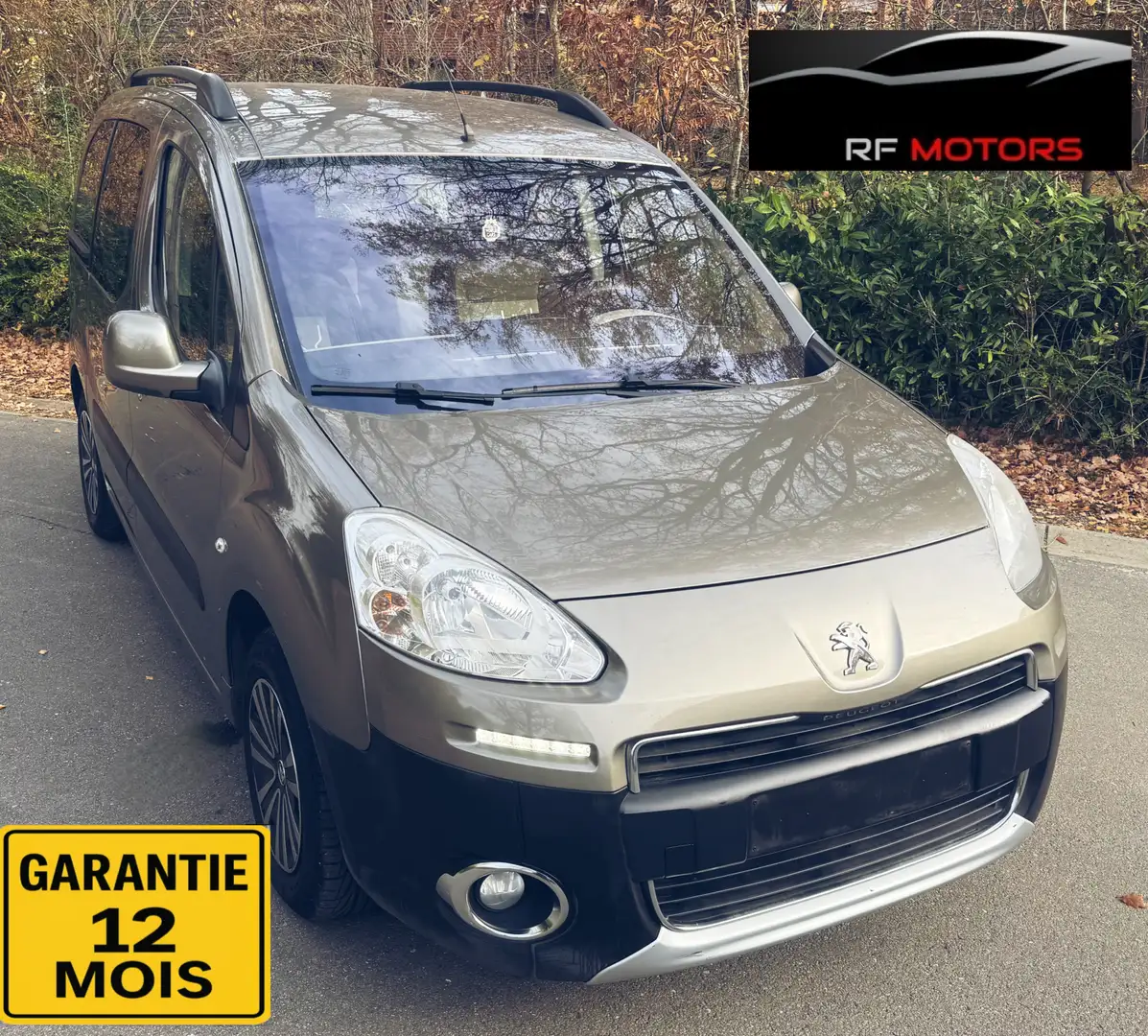 Peugeot Partner Partner Tepee 1.6i Access Beige - 2