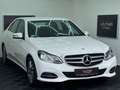 Mercedes-Benz E 200 Lim.*AHK*Avantgarde*Top-Zustand Blanc - thumbnail 1