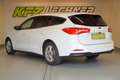 Ford Focus Turnier 1.5 EcoBl. "R-KAM*SITZH*NAVI*TEMP" Weiß - thumbnail 7