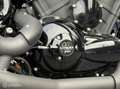 Harley-Davidson Night Rod VRSCDX Special - thumbnail 4